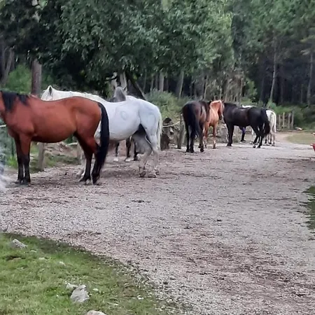 Apartment Silencio Y Tranquilidad Salamir