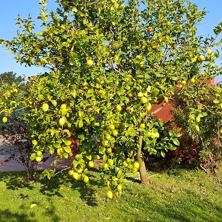 Apartment Silencio Y Tranquilidad Salamir