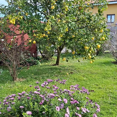 Silencio Y Tranquilidad Salamir