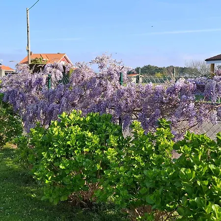 Silencio Y Tranquilidad * Саламир