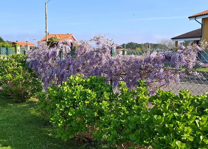 Silencio Y Tranquilidad * Salamir